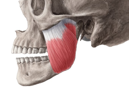 Thermage Jawline Tightening - Dr. Michele Green M.D.